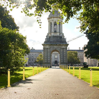 Safety Bollard, 36 Inch Height Bollard Post, 4.5 Inch Diameter Steel Pipe Safety Bollard Post, Yellow Steel Bollard, Steel Safety Bollard with 8 Anchor Bolts, Perfect for Traffic-Sensitive Area