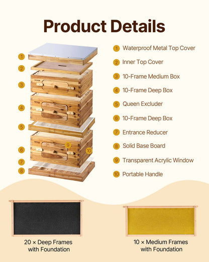 Bee Hive 30 Frame Bee Hives Starter Kit, Beeswax Coated Fir Wood, 2 Deep + 1 Medium Bee Boxes Langstroth Beehive Kit, Transparent Acrylic Windows with Foundations for Beginners Pro Beekeepers