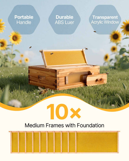 Bee Hive Medium Box Starter Kit, 100% Beeswax Coated Natural Fir Wood, Langstroth Beehive Kit with 10 Frames and Foundations, Transparent Acrylic Bee Windows for Beginners and Pro Beekeepers