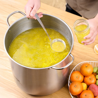 Canning Supplies Starter Kit, 9 Pieces Stainless Steel Water Bath Canning Kit for Beginners, Canning Tools Set: Pot, Rack, Lid, Funnel, Tongs, Jar Lifter, Wrench, Magnetic Wand, Bubble Propper