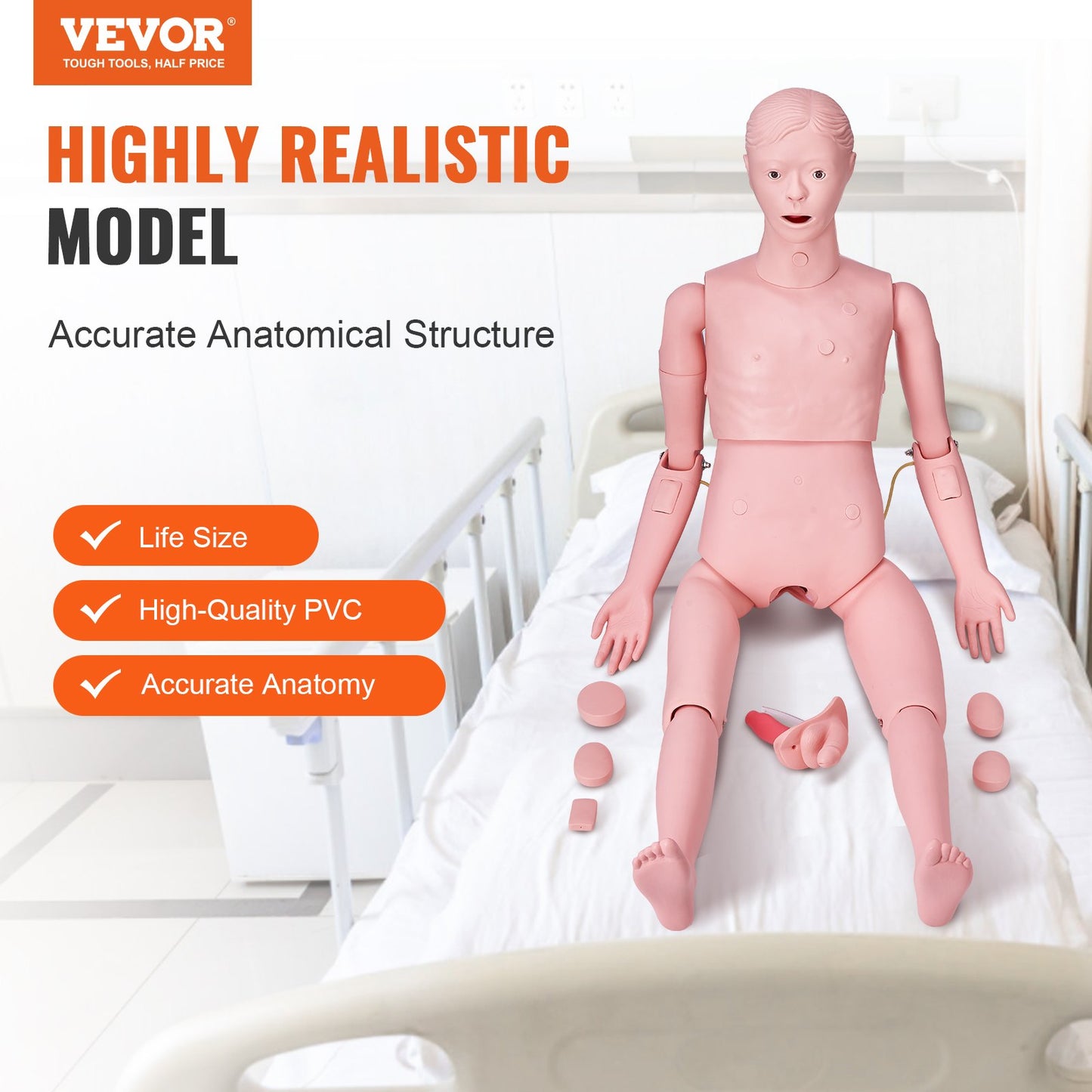 Nursing Training Manikin, Male Life Size Demonstration Human Manikin for Nursing Training, Multifunctional Education Teaching Model Supplies, PVC Anatomical Mannequin Body Care Simulator Model