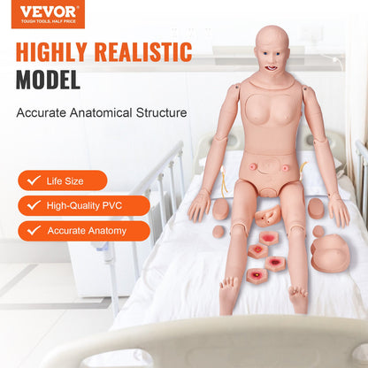 Nursing Training Manikin, Male/Female Life Size Demonstration Human Manikin for Nursing Training, Multifunctional Education Teaching Model, PVC Anatomical Mannequin Body Care Simulator Model