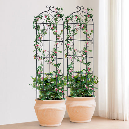 Garden Trellis for Climbing Plants, 71 x 20 in, 2 Packs Rustproof Metal Garden Flower Trellis, Outdoor Climbing Rose Trellis Cucumbers Support, Decorative Clematis Trellis for Courtyards Lawns