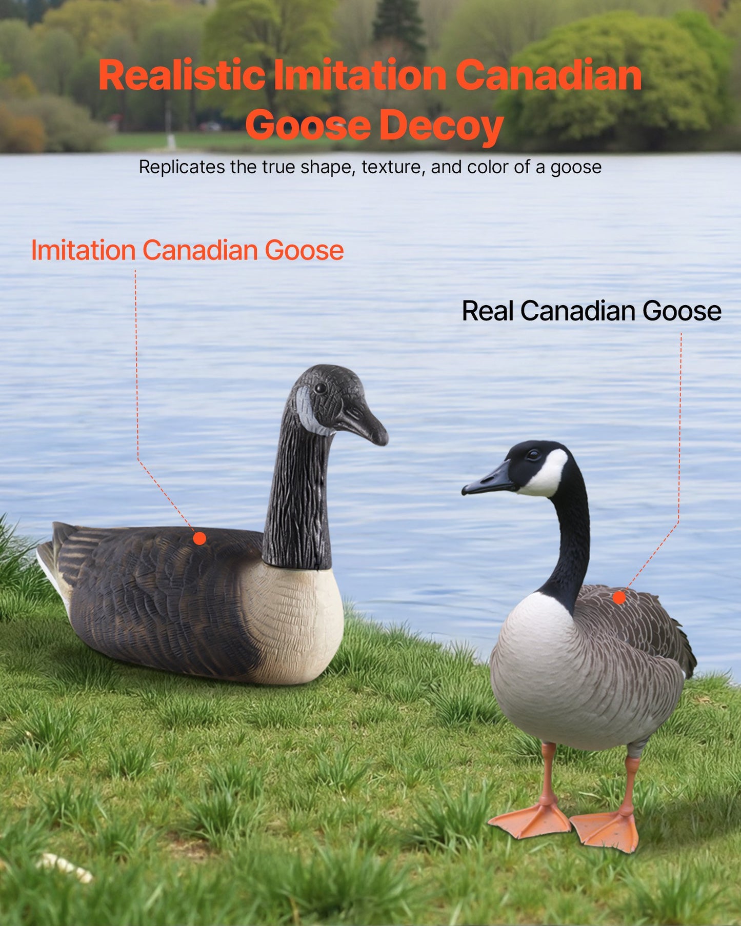 Canada Goose Decoys, Outdoors Goose Decoy for Waterfowl Hunting, Durable Plastic Floaters with Ultra Realistic Paint, for Pool, Pond, Lake, Garden Yard Decoration, Easy to Carry and Use, 6-Pack