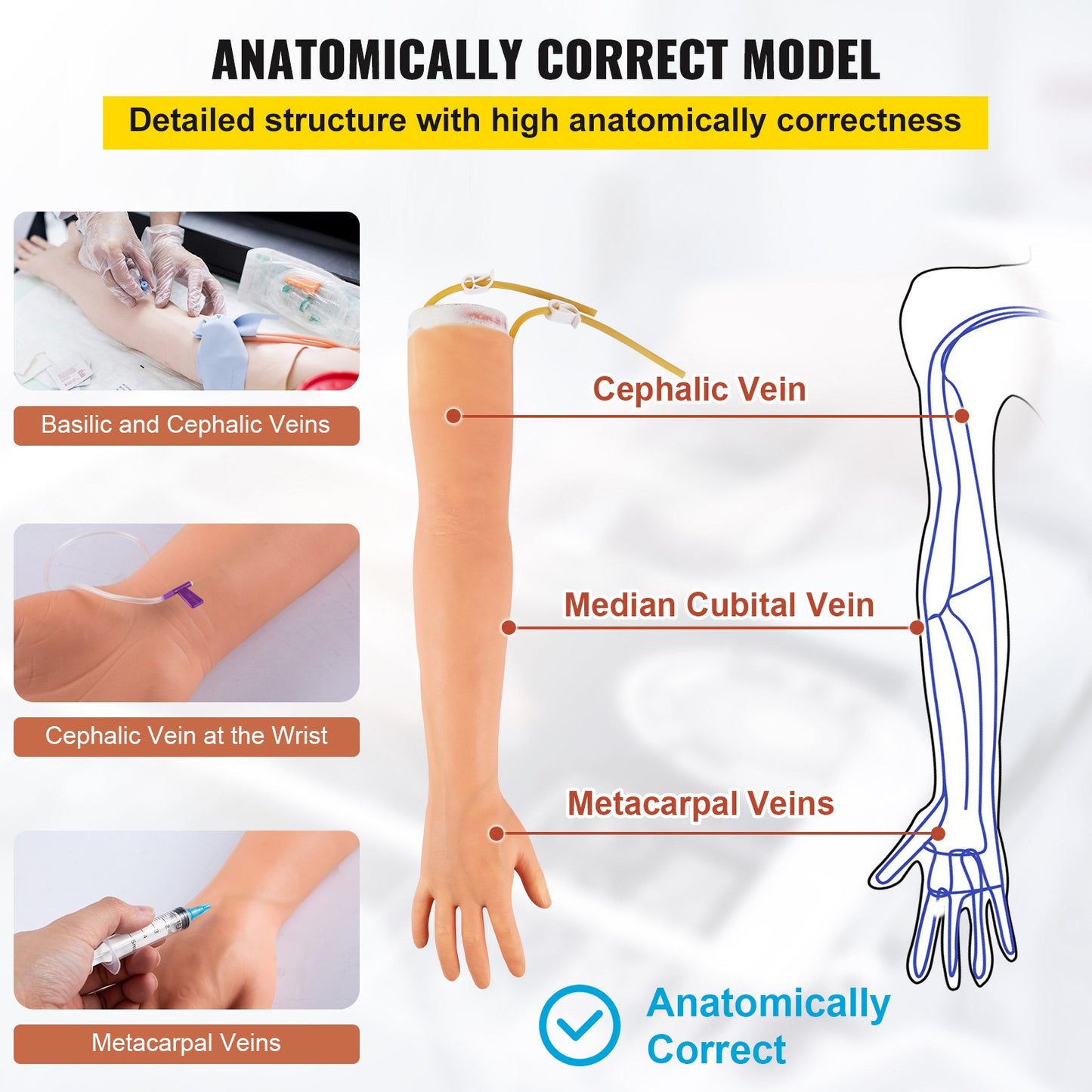 Phlebotomy Practice Kit, IV Venipuncture Intravenous Training, High Simulation IV Practice Arm Kit with Carrying Bag, Practice and Perfect IV Skills, for Students Nurses and Professionals