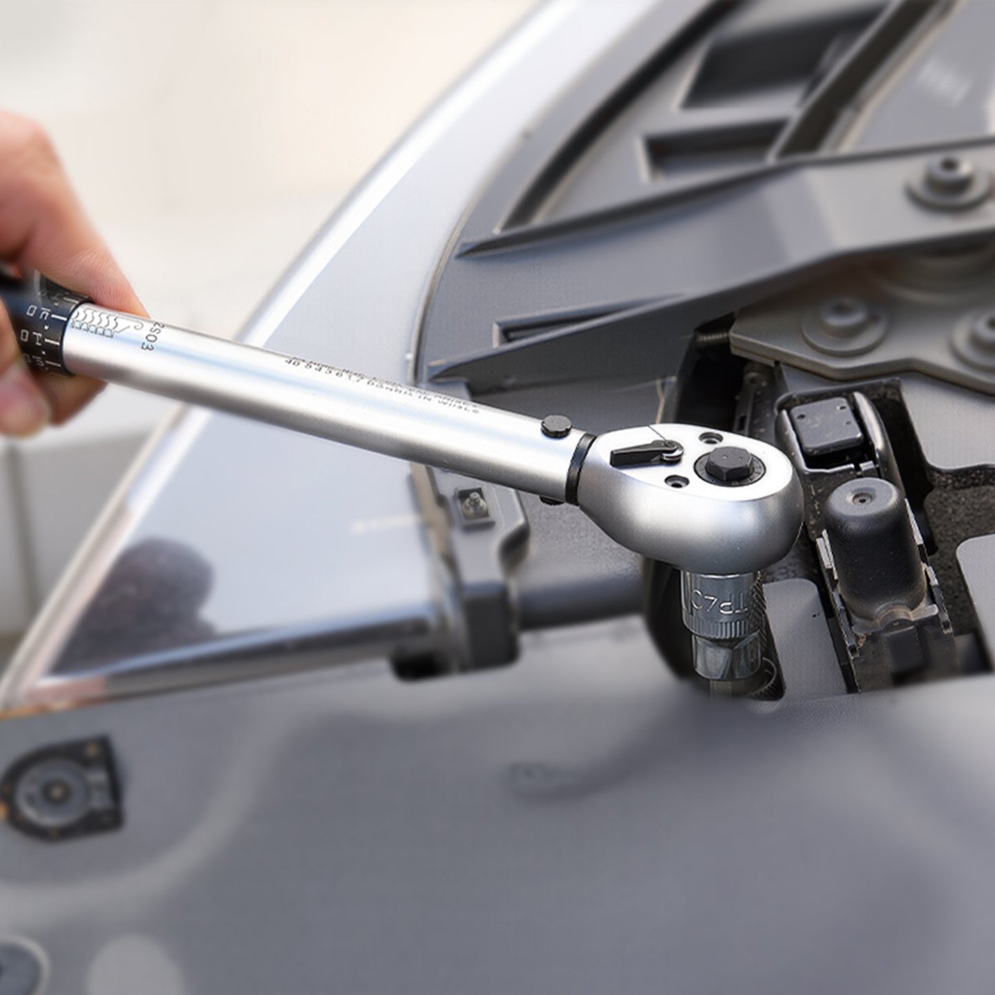 Torx Bit Socket and External Torx Socket Set, 60-Piece T6-T70, TT6-TT70, TP8-TP60, E4-E24, S2 Alloy Steel and Cr-V Steel, 1/4 in, 3/8 in, and 1/2 in Drives, with Enhanced Storage Case, Hand Use