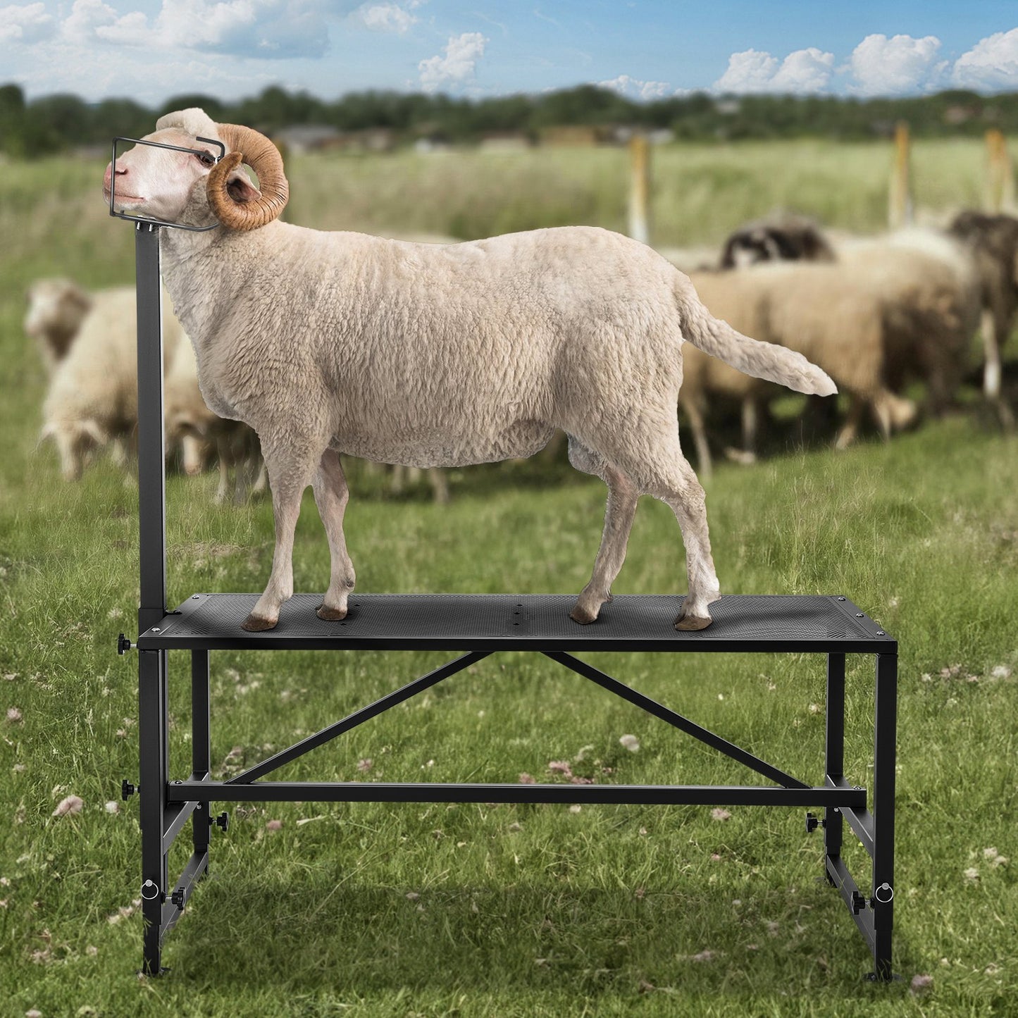 Goat & Sheep Stand, 47x23 inch Livestock Stand, Metal Livestock Milking and Shearing Stand 21" to 33" Adjustable Height, with Headpiece and Nose Loop, 500lbs Loading Weight, Black