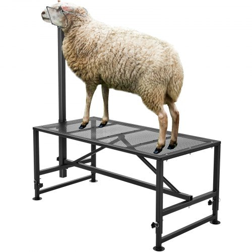 Goat & Sheep Stand, 51x23 inch Livestock Stand, Metal Livestock Milking and Shearing Stand 21" to 33" Adjustable Height, with Headpiece and Nose Loop, 500lbs Loading Weight, Black