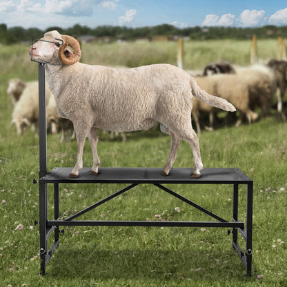 Goat & Sheep Stand, 51x23 inch Livestock Stand, Metal Livestock Milking and Shearing Stand 21" to 33" Adjustable Height, with Headpiece and Nose Loop, 500lbs Loading Weight, Black