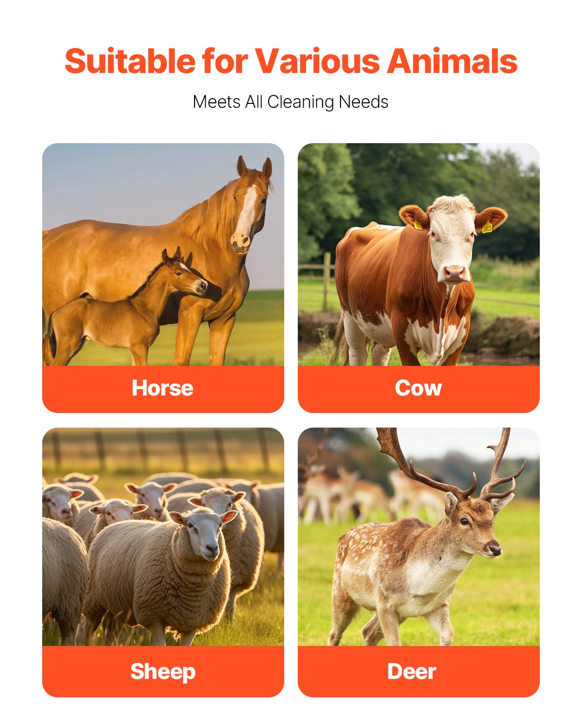 Livestock Scratching Brush, 3 Pcs Horse Brush with 6 Screws, 20 x 7.5 in Cow Scratcher, for Back Itch Relief & Keep Cleaning, Grooming & Scratching Post Brush for Horse, Pig, Cattle Supplies