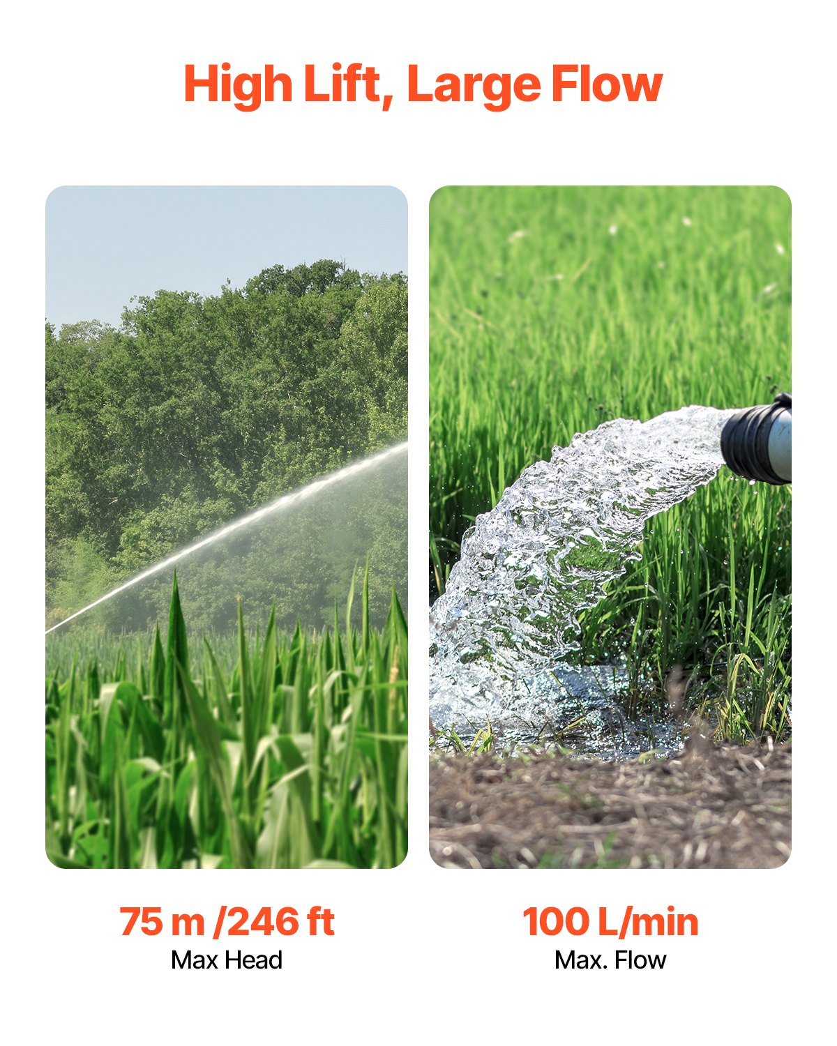 Deep Well Submersible Pump, 750W Output Power, 230V, 100 L/min Flow 75 m(246 ft) Head, with 20 m(65.62 ft) Cord, Stainless Steel Water Pump, for Industrial Irrigation and Home Use, IP68 Waterproof Grade