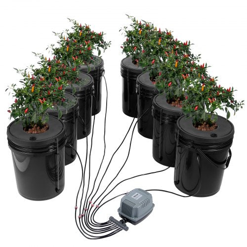 DWC Hydroponics Grow System, Hydroponic Growing System, Deep Water Culture 5-Gallon 8 Buckets, DWC System with Air Pump, Air Stones and Water Level Device for Leafy Vegetables