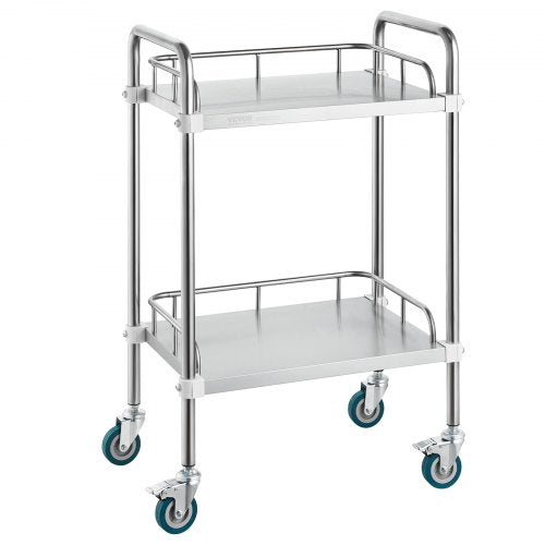 Lab Rolling Cart, 2-Shelf Stainless Steel Rolling Cart, Lab Serving Cart with Swivel Casters, Dental Utility Cart for Clinic, Lab, Hospital, Salon, 385 x 548 x 865 mm