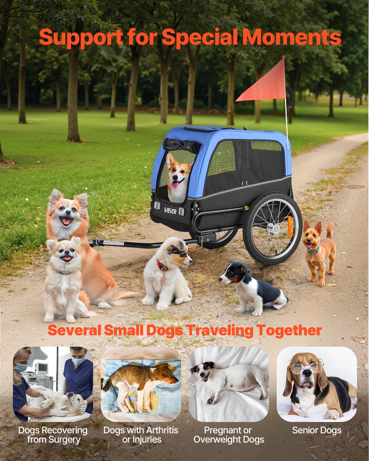 Dog Bike Trailer, Supports up to 30 kg, Pet Cart Bicycle Carrier for Small & Medium Dogs, Easy Folding Frame with Quick Release Wheel, Universal Bicycle Coupler, Reflector, Flag, Internal Leash