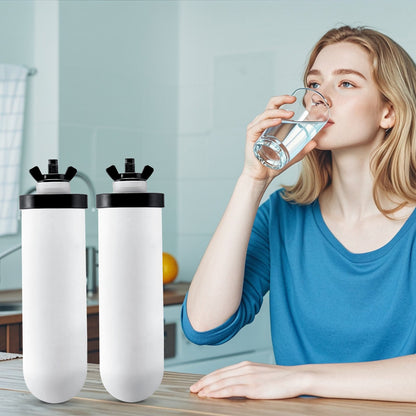 Water Filters Replacement, Purification Elements, Ceramic Replacement Filters, Easy to Replace Water Filter, Gravity Water Filter System, Compatible with Most Brands, Pack of 2, White