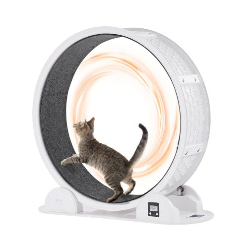 Cat Exercise Wheel with Pedometer, 40.8 in, Cat Running Wheel with Brake & Carpeted Runway, Quiet Cat Treadmill for Indoor Cats Under 30lbs, Cat Exerciser for Pets Health & Fitness White