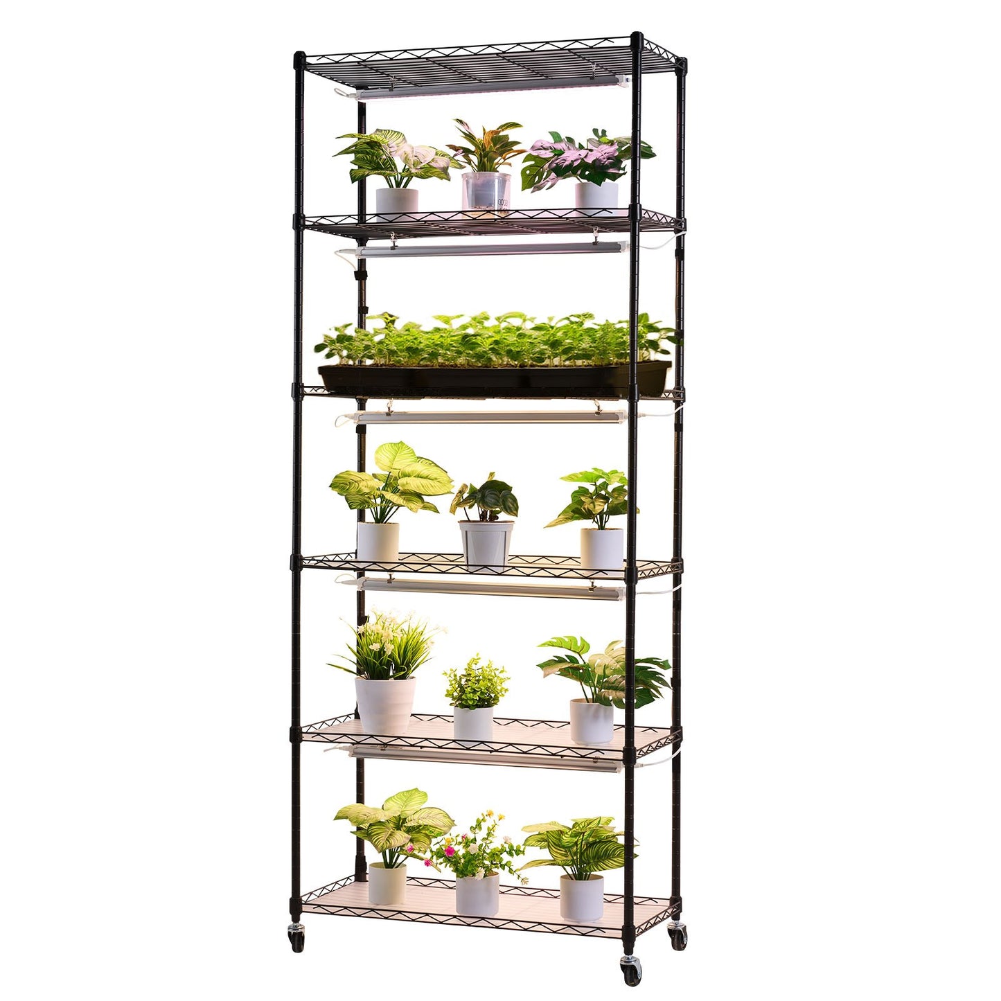 Plant Shelf with Grow Light, 6-Tier Indoor Plant Stand, 180cm Tall Plants Display Rack with Wheels & 4/9/14H Timer, 150W 3-Color Full Spectrum Grow Lights, Flower Pot Holder for Seed Starting