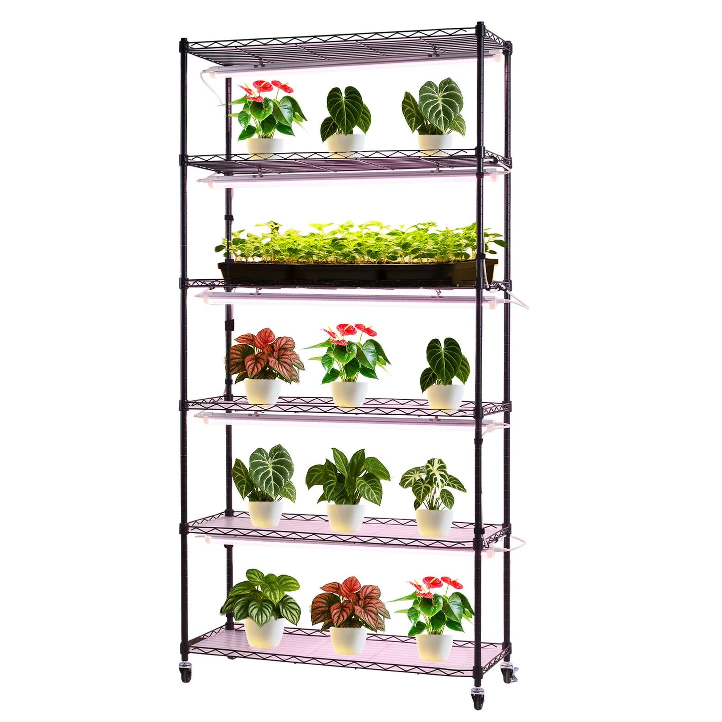 Plant Shelf with Grow Light, 6-Tier Indoor Plant Stand, 180cm Tall Indoor Plants Display Rack with Wheels & Timer, 150W 3800K Full Spectrum Grow Lights, Metal Flower Pot Holder for Seed Starting
